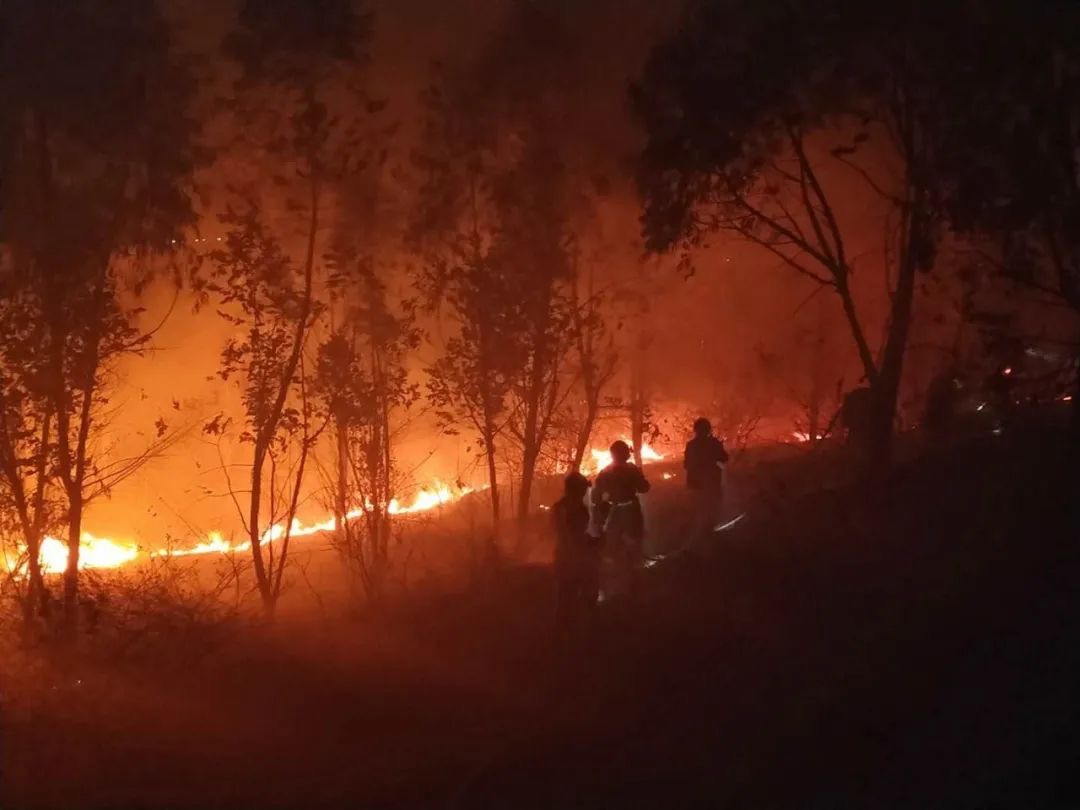 四川西昌发生森林火灾 扑火人员19人牺牲 - 中国日报网